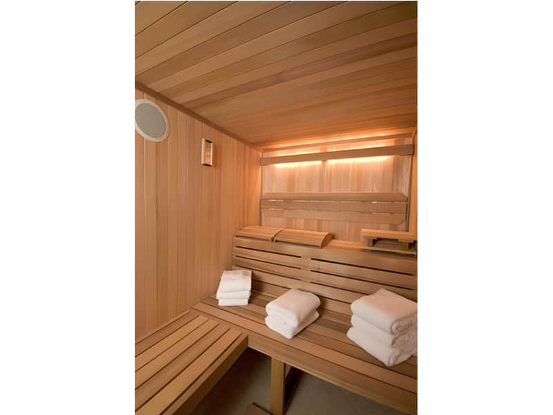 The Origin and History of Saunas